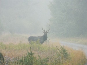 DSCN1531