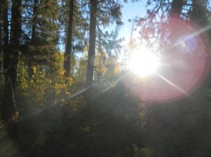 DSCN6098