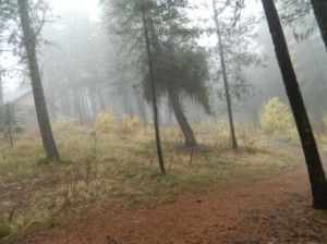 A mysterious autumn fog drifting around Mt. Panther Cabin.