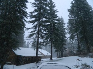It's Snowing!