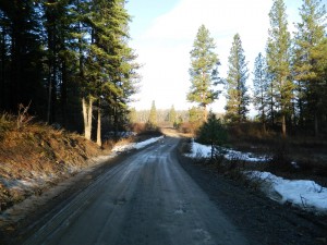 DSCN6871