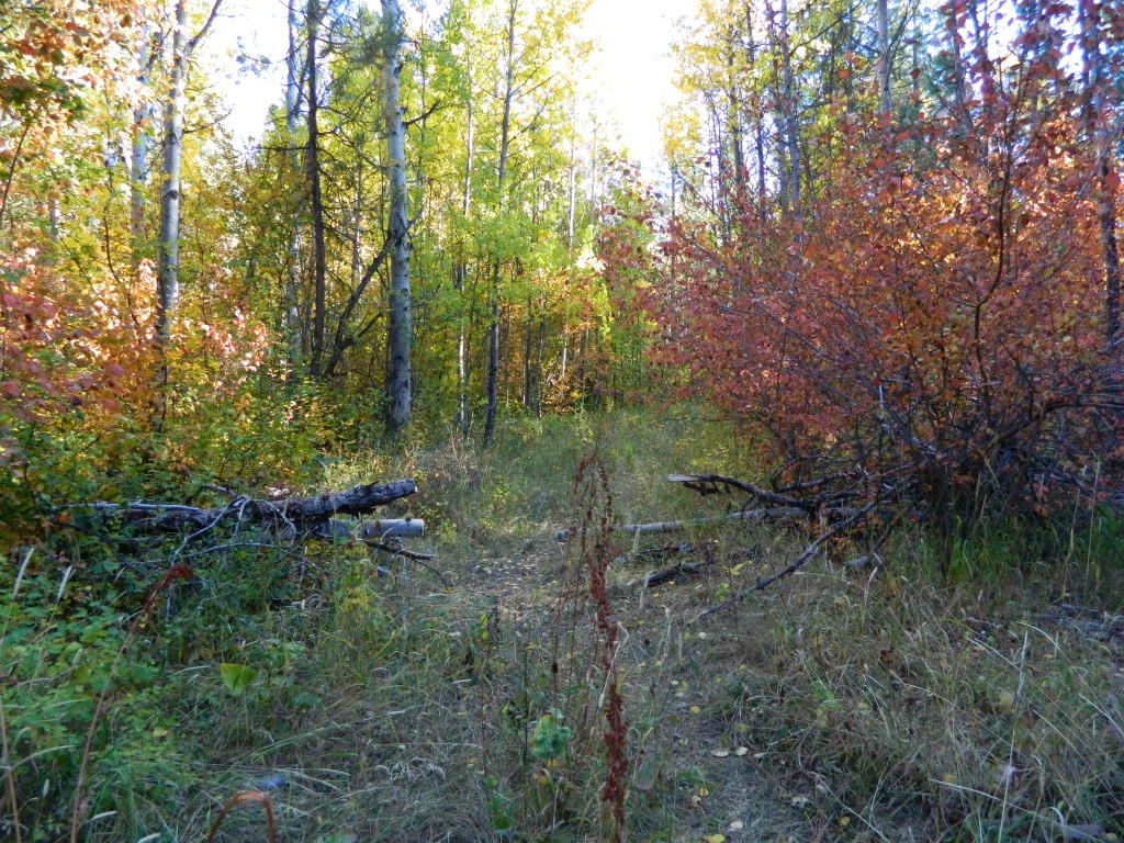 DSCN8478